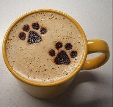 szablony do wzorków na kawie