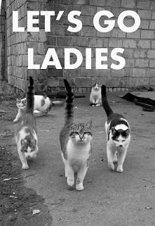 let's go ladies