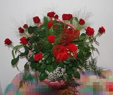 Dziewczyny każda by takie c...