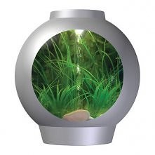 Biorb Spyorb 30L Silver
by Reef One