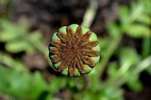 Małe jest piękne ^^