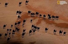 zdjęcia zrobione OD GÓRY