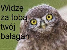 Oj nie ładnie!