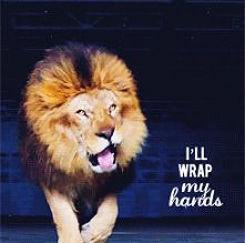 WRRRR.....