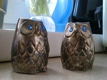 Solniczka i Pieprzniczka!  
Co sądzicie?