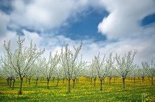 Wiosna pełną parą :D