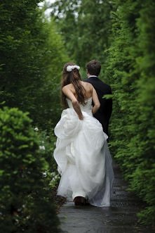 wedding