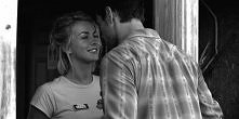 Safe haven <3