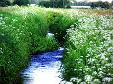 gdzie strumyk płynie..