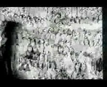 Zielone Żabki - Kultura