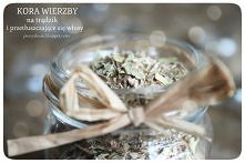 Kojarzycie wierzbę? Tak, taką zwykłą - zieloną :) Jej kora ma świetne właściwości. Odwar z niej możemy wykorzystać do przetarcia skóry lub wypłukania włosów. Nadaje się do skóry...