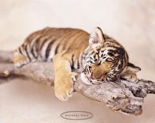 Mamo, jeszcze 5 minut ...