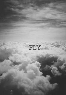 fly