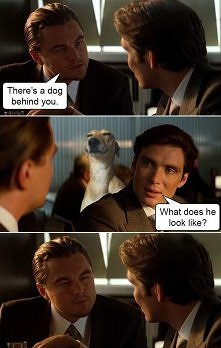 -,-