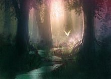 znalezione w sieci ...