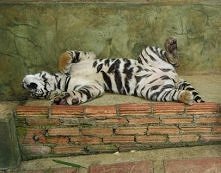 oj wyspac się marzy mi się :D