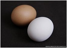 mw. Wybielanie jajka

Dla t...