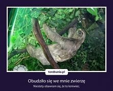 :))