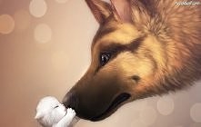 Sweet♥♥ Koffam to zd! -,-