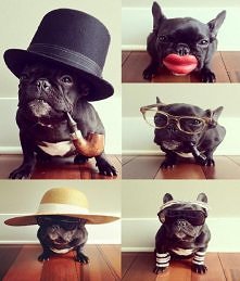 Nie tylko kobieta zmienną j...