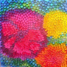 rolki po papierze toaletowym