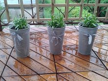 sliwcia.blogspot.com/