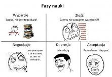 fazy nauki