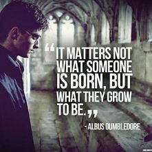Albus Dumbledore