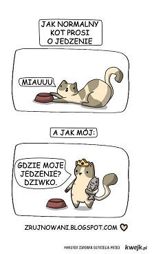 Jak kot prosi o jedzenie.