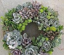 Żywy wieniec... Jedyny w swoim rodzaju...