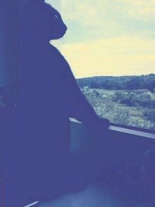 "Ach jakie piękne wido...