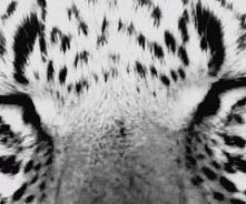 zamknij oczy, zacznij marzyć!