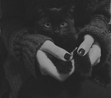 cicik *.*