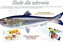 śledź dla zdrowia