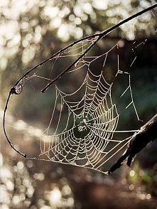 tak bardzo podoba mi się ta...