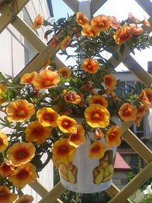 sliwcia.blogspot.com/