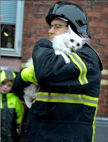 yyy