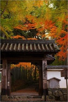 Temple entrance in autumn, Jizo-in, Kyoto, Japan