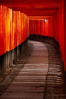 Torii leading to the inner ...