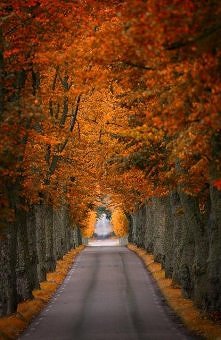 Sodermanland, Sweden