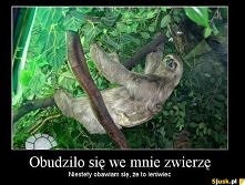 xyz