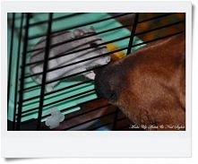 'Stajesz się odpowiedz...