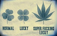 a ty jak bardzo jesteś szcz...