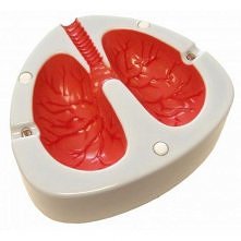 Kaszląca Popielniczka