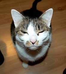 Z przymrużeniem oka ;)