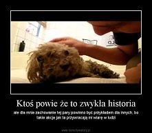to niby zwykła historia, ale przywraca wiarę :D