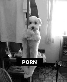 Porn#Stalowa rura Fi6#