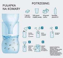 pułapka na komary!!!