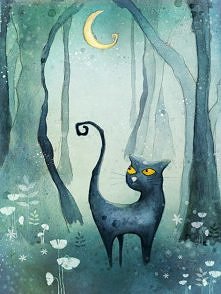 cat in the forest