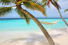 www . facebook . com / welcomextoxparadise (usuń spacje)